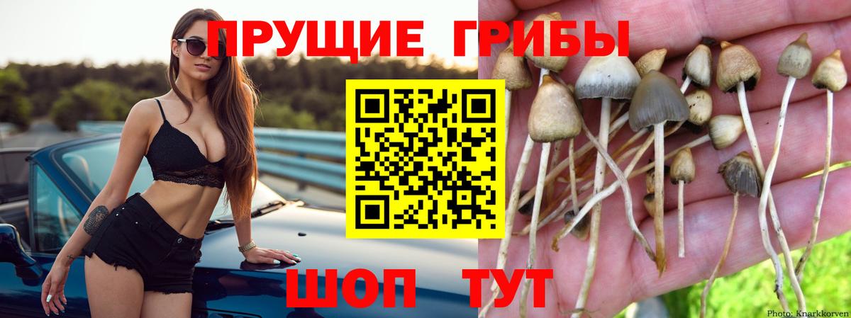 Псилоцибиновые грибы MAGIC MUSHROOMS Сухой Лог