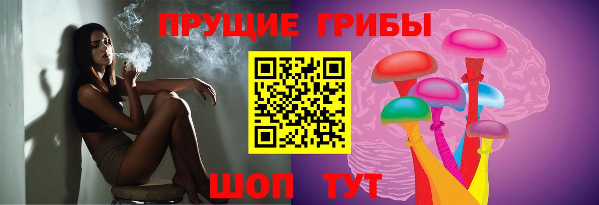 Сухой Лог  Галлюциногенные грибы прущие грибы  Вход с VPN 